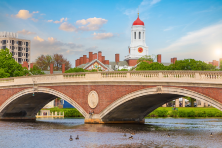 Harvard University